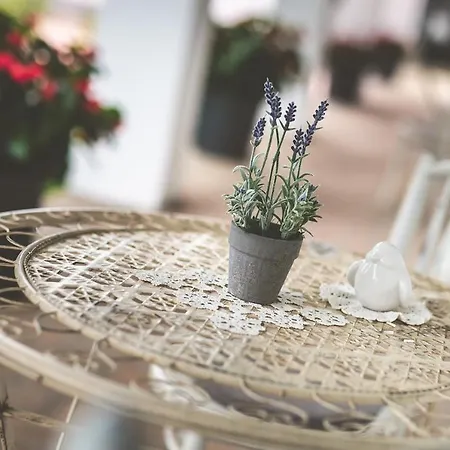Palkonyha Panzio Speiz Gasztromuhely Bed & Breakfast Palkonya