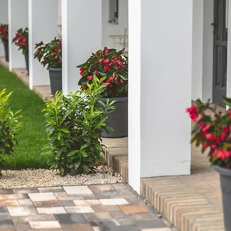 Palkonyha Panzio Speiz Gasztromuhely Bed & Breakfast
