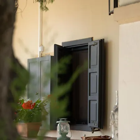 Bed & Breakfast Palkonyha Panzio Speiz Gasztromuhely