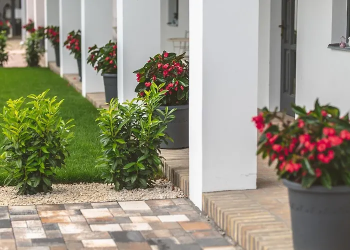 Palkonyha Panzio Speiz Gasztromuhely Bed & Breakfast