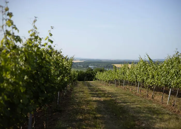 Palkonyha Panzio Speiz Gasztromuhely