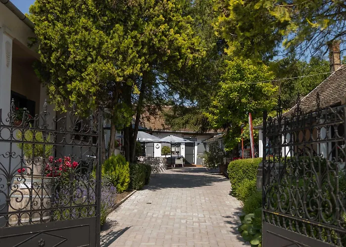 B&B Palkonyha Panzio Speiz Gasztromuhely Palkonya